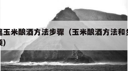 家庭玉米酿酒方法步骤（玉米酿酒方法和步骤视频）