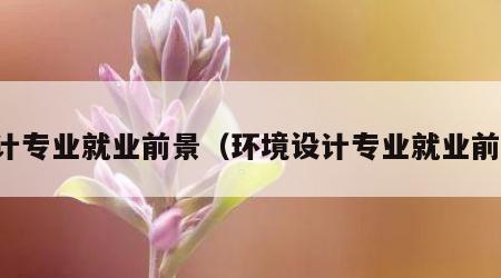 设计专业就业前景（环境设计专业就业前景）