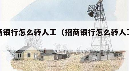 招商银行怎么转人工（招商银行怎么转人工台）