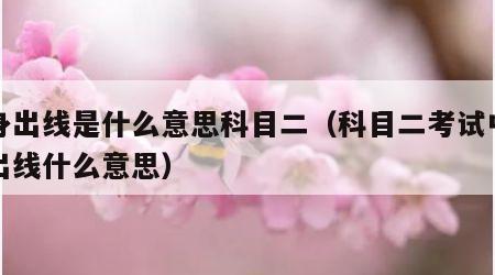 车身出线是什么意思科目二（科目二考试中车身出线什么意思）