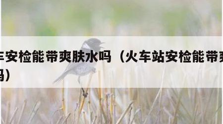 火车安检能带爽肤水吗（火车站安检能带爽肤水吗）
