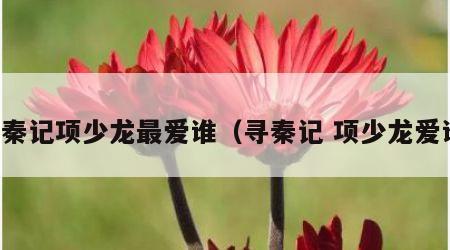 寻秦记项少龙最爱谁（寻秦记 项少龙爱谁）