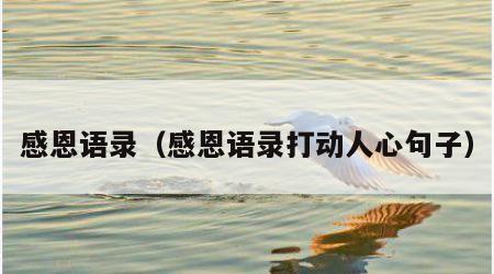 感恩语录（感恩语录打动人心句子）