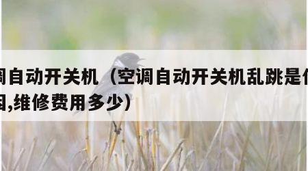 空调自动开关机（空调自动开关机乱跳是什么原因,维修费用多少）