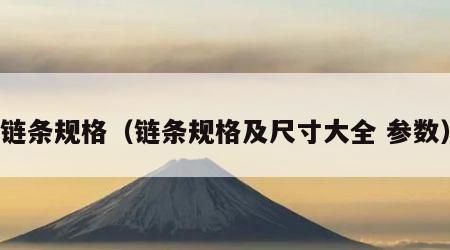 链条规格（链条规格及尺寸大全 参数）