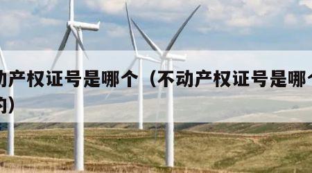 不动产权证号是哪个（不动产权证号是哪个位置的）