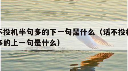 话不投机半句多的下一句是什么（话不投机半句多的上一句是什么）