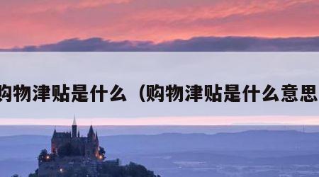 购物津贴是什么（购物津贴是什么意思）