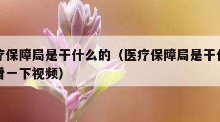 医疗保障局是干什么的（医疗保障局是干什么的看一下视频）