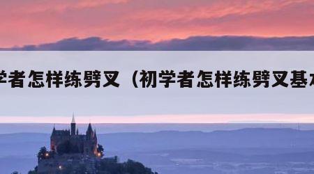 初学者怎样练劈叉（初学者怎样练劈叉基本功）