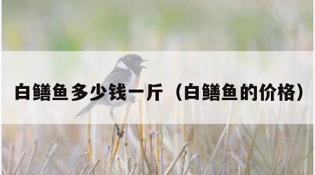 白鳝鱼多少钱一斤（白鳝鱼的价格）