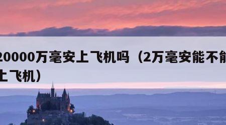 20000万毫安上飞机吗（2万毫安能不能上飞机）