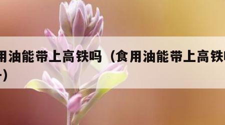 食用油能带上高铁吗（食用油能带上高铁吗18升）