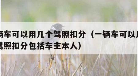 一辆车可以用几个驾照扣分（一辆车可以用几个驾照扣分包括车主本人）