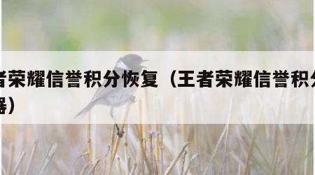 王者荣耀信誉积分恢复（王者荣耀信誉积分恢复器）