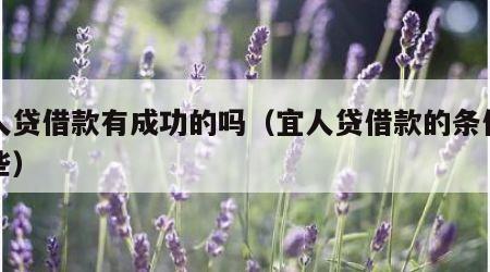 宜人贷借款有成功的吗（宜人贷借款的条件有哪些）