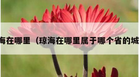 琼海在哪里（琼海在哪里属于哪个省的城市）