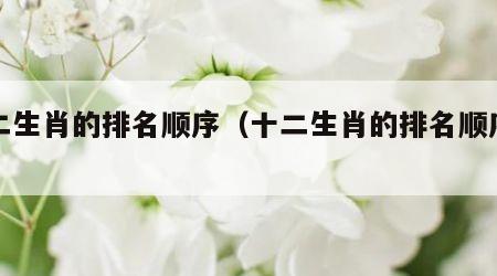十二生肖的排名顺序（十二生肖的排名顺序图片）