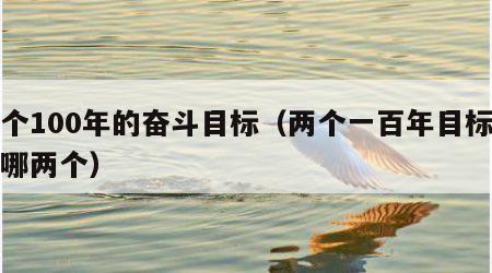 两个100年的奋斗目标（两个一百年目标是指哪两个）