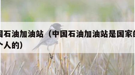 中国石油加油站（中国石油加油站是国家的还是个人的）