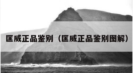 匡威正品鉴别（匡威正品鉴别图解）