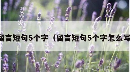 留言短句5个字（留言短句5个字怎么写）