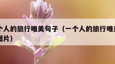 一个人的旅行唯美句子（一个人的旅行唯美句子图片）