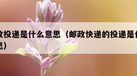 邮政投递是什么意思（邮政快递的投递是什么意思）