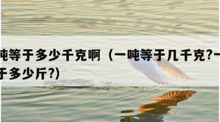 一吨等于多少千克啊（一吨等于几千克?一吨等于多少斤?）