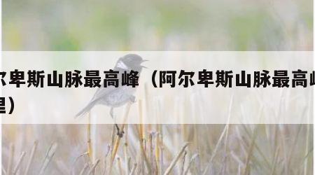 阿尔卑斯山脉最高峰（阿尔卑斯山脉最高峰是哪里）