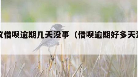 蚂蚁借呗逾期几天没事（借呗逾期好多天没事）