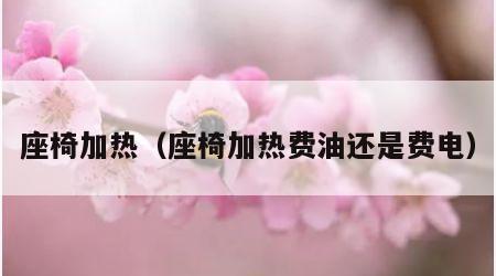 座椅加热（座椅加热费油还是费电）
