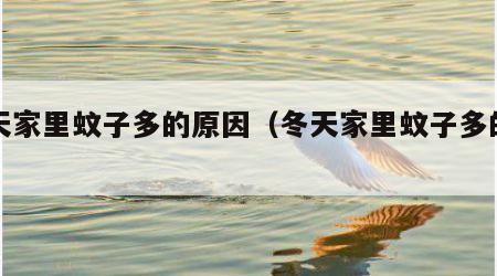 冬天家里蚊子多的原因（冬天家里蚊子多的原因）