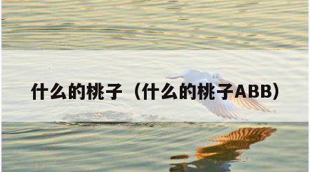 什么的桃子（什么的桃子ABB）