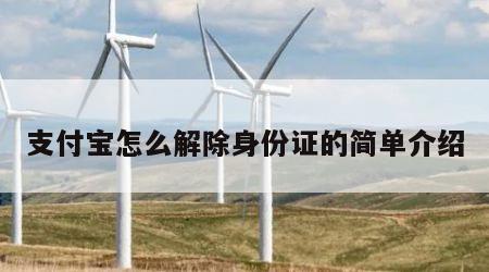 支付宝怎么解除身份证的简单介绍