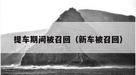 提车期间被召回（新车被召回）