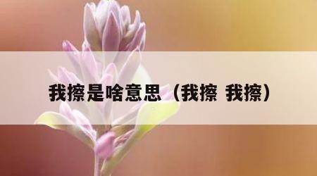 我擦是啥意思（我擦 我擦）
