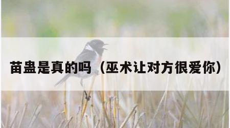 苗蛊是真的吗（巫术让对方很爱你）
