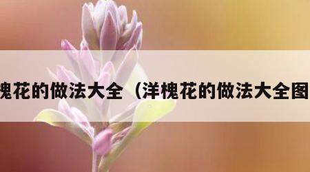 洋槐花的做法大全（洋槐花的做法大全图解）