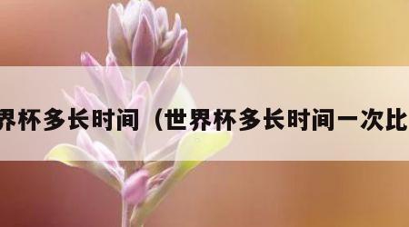 世界杯多长时间（世界杯多长时间一次比赛）