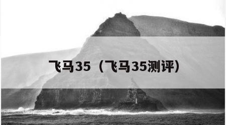 飞马35（飞马35测评）