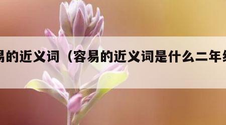 容易的近义词（容易的近义词是什么二年级下册）