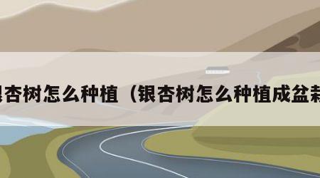 银杏树怎么种植（银杏树怎么种植成盆栽）