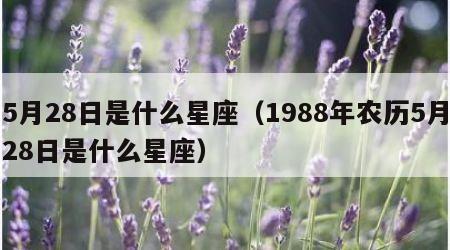5月28日是什么星座（1988年农历5月28日是什么星座）