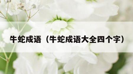 牛蛇成语（牛蛇成语大全四个字）
