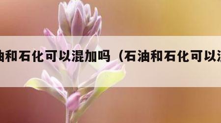石油和石化可以混加吗（石油和石化可以混合吗）