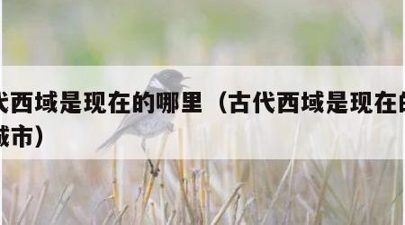 古代西域是现在的哪里（古代西域是现在的哪里城市）