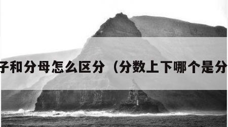 分子和分母怎么区分（分数上下哪个是分母）