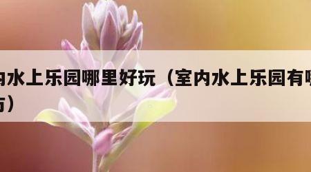 室内水上乐园哪里好玩（室内水上乐园有哪些地方）