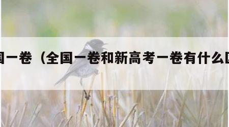 全国一卷（全国一卷和新高考一卷有什么区别）
